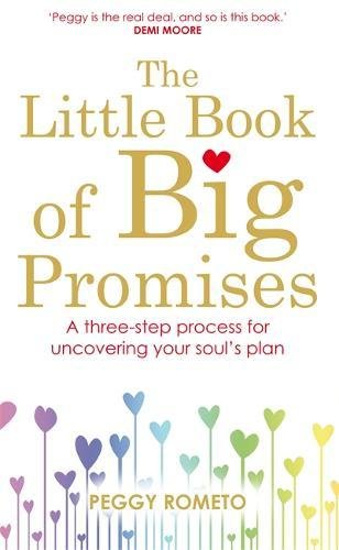 The Little Book of Big Promises: A Three-Step Process for Uncovering Your Soul's Plan von Hay House Uk Ltd
