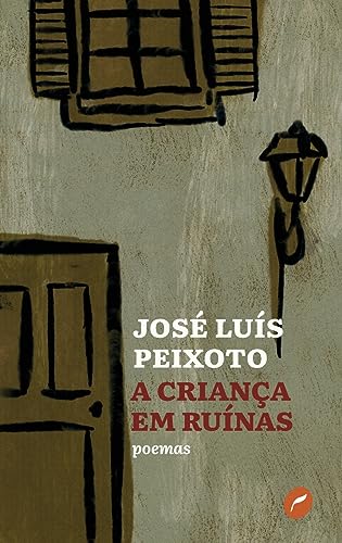 A criança em ruínas von Dublinense