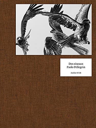 Paolo Pellegrin - Des Oiseaux von Editions Xavier Barral