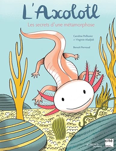 L'axolotl, les secrets d'une métamorphose von ACTES SUD