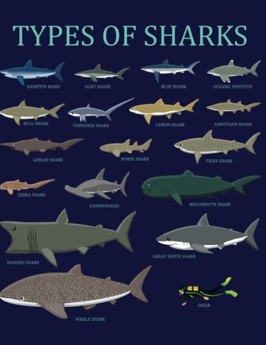 Types Of Sharks: Lined Shark Notebook (Shark Journal Composition Book) (8.5 x 11 Large) von CreateSpace Independent Publishing Platform