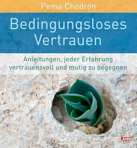 Bedingungsloses Vertrauen: Anleitungen, jeder Erfahrung vertrauensvoll und mutig zu begegnen