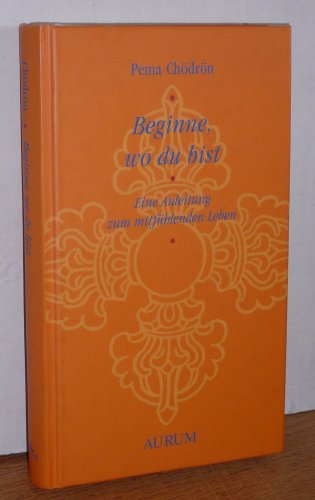 Beginne, wo du bist: Eine Anleitung zum mitfühlenden Leben