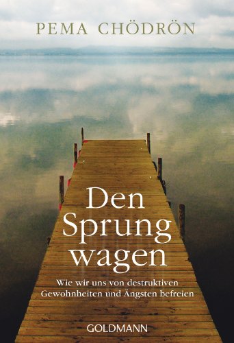 Den Sprung wagen: Wie wir uns von destruktiven Gewohnheiten und Ängsten befreien