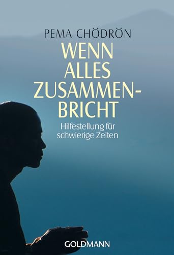 Wenn alles zusammenbricht: Hilfestellung für schwierige Zeiten von Goldmann TB