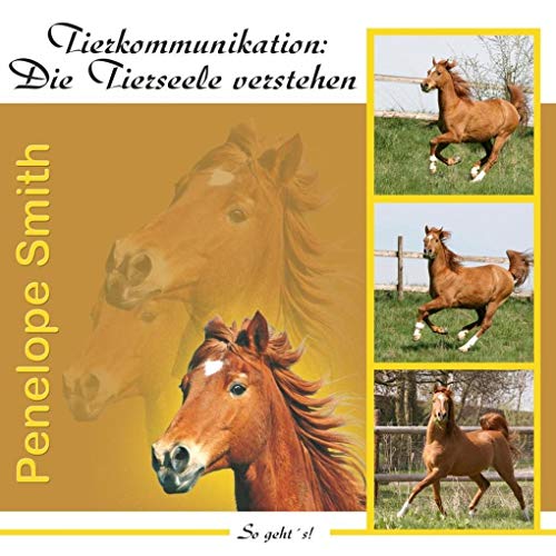 Tierkommunikation: Die Tierseele verstehen: So geht's!: Die Tierseele verstehen, Lesung von Reichel Verlag