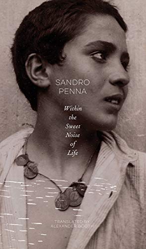 Within the Sweet Noise of Life: Selected Poetry: Selected Poems (The Italian List) von Seagull Books