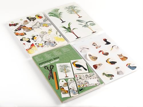 Natural History: Papercraft Book von Pepin Press B.V., The