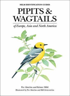 Pipits and Wagtails of Europe, Asia and North America: Identification and Systematics (Helm Identification Guides)