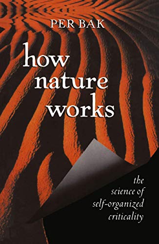 How Nature Works: the science of self-organized criticality (Copernicus)