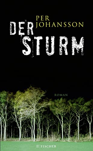 Der Sturm: Roman