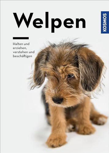Welpen: Halten und erziehen, verstehen und beschäftigen