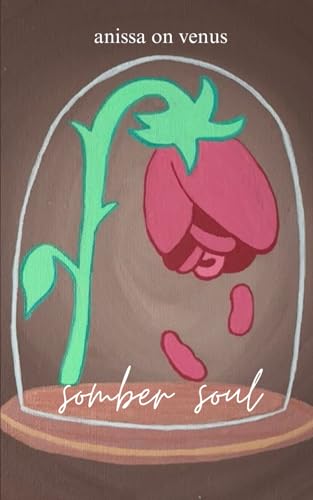 SOMBER SOUL von Independently published