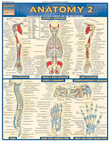 Anatomy 2 - Reference Guide (8.5 X 11): A Quickstudy Reference Tool (Quick Study Academic)