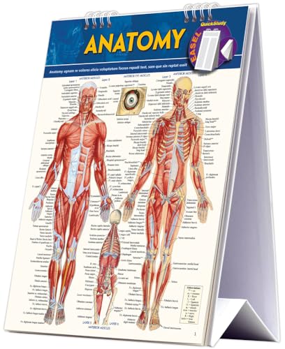 Anatomy Easel Book: A Quickstudy Reference Tool (Quick Study Easel)