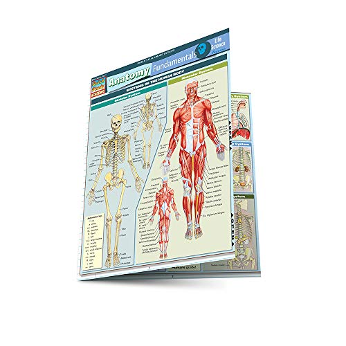 Anatomy Fundamentals: Life Science (Quick Study Academic)