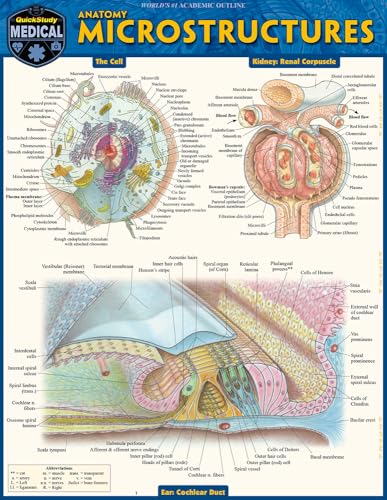 Anatomy Microstructures: A Quickstudy Laminated Reference Guide Anatomy Microstructures: A Quickstudy Laminated Reference Guide von Quickstudy Reference Guides