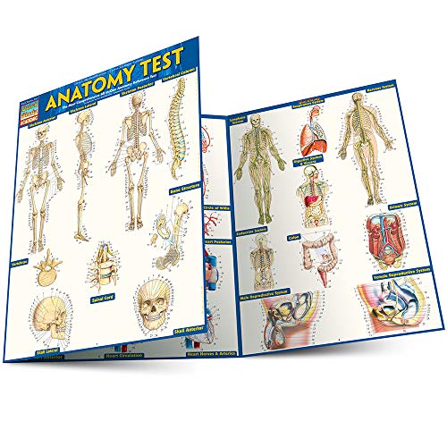Anatomy Test Reference Guide (8.5 X 11): For Use with Anatomy Reference Guide (9781423222781)