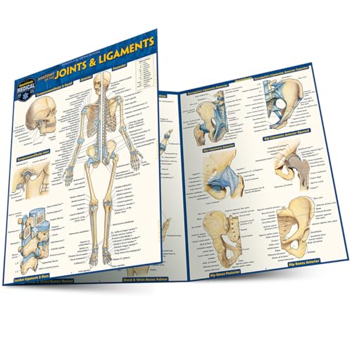 Anatomy of Joints & Ligaments: A Quickstudy Laminated Reference Guide Anatomy of Joints & Ligaments: A Quickstudy Laminated Reference Guide von Quickstudy Reference Guides
