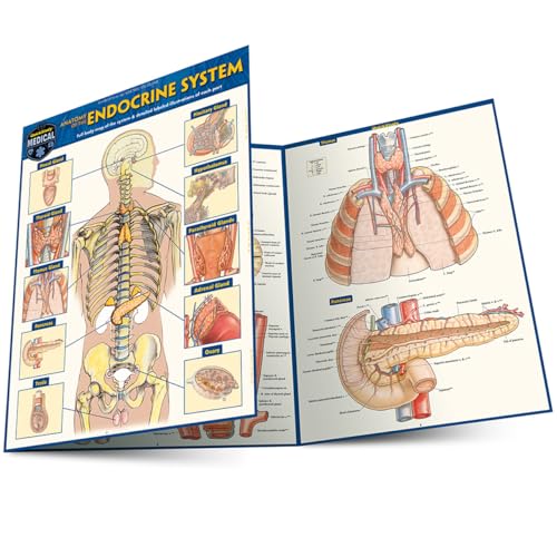 Anatomy of the Endocrine System: A Quickstudy Laminated Reference Guide Anatomy of the Endocrine System: A Quickstudy Laminated Reference Guide von Quickstudy Reference Guides