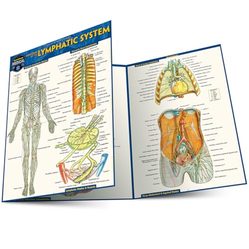 Anatomy of the Lymphatic System: A Quickstudy Laminated Reference Guide Anatomy of the Lymphatic System: A Quickstudy Laminated Reference Guide von Quickstudy Reference Guides