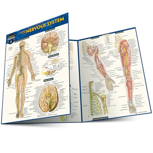 Anatomy of the Nervous System: A Quickstudy Laminated Reference Guide Anatomy of the Nervous System: A Quickstudy Laminated Reference Guide von Quickstudy Reference Guides