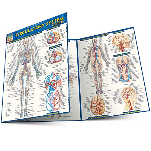 Circulatory System: Advanced (Quick Study Academic) von QuickStudy
