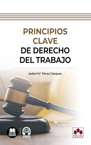 Principios clave de Derecho del trabajo (Bolsillo) Principios clave de Derecho del trabajo (Bolsillo) von Editorial Colex