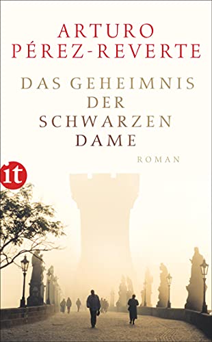Das Geheimnis der schwarzen Dame: Roman (insel taschenbuch)