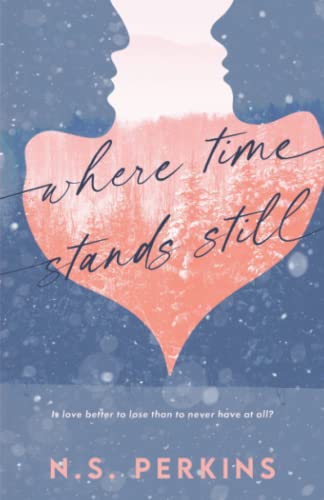 WHERE TIME STANDS STILL (Evermore, Band 1) von N.S. Perkins