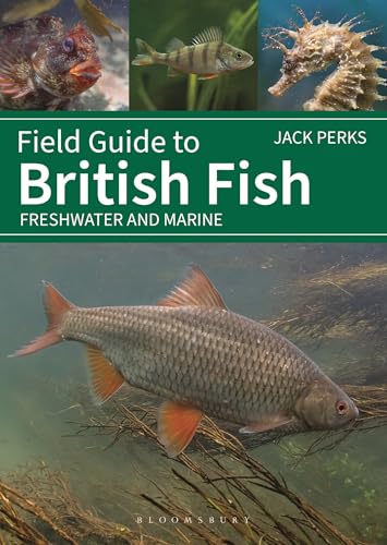 Field Guide to British Fish: Freshwater and Marine von Bloomsbury Wildlife