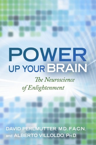Power Up Your Brain: The Neuroscience of Enlightenment von Hay House UK