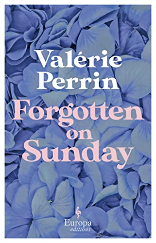Forgotten on Sunday: From the million copy bestselling author of Fresh Water for Flowers von JOGRO