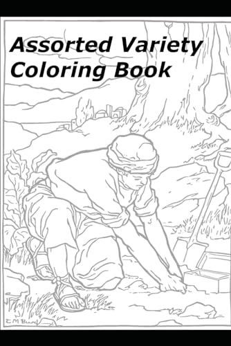 Assorted Variety Coloring Book von Independently published