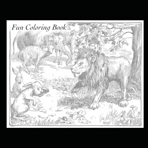 Fun Coloring Book von Independently published