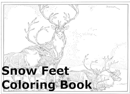 Snow Feet Coloring Book von Independently published