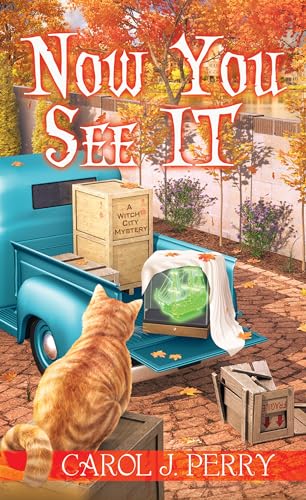 Now You See It (A Witch City Mystery, Band 13)
