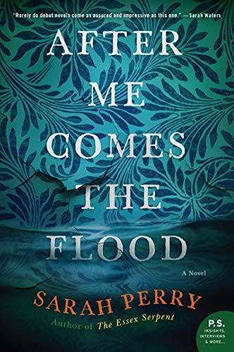 AFTER ME COMES FLOOD: A Novel