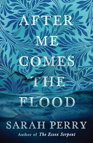 After me Comes the Flood: From the author of The Essex Serpent von Profile Books