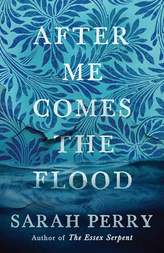 After me Comes the Flood: From the author of The Essex Serpent von Profile Books