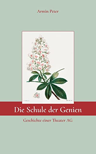 Die Schule der Genien: Geschichte einer Theater AG von BoD – Books on Demand