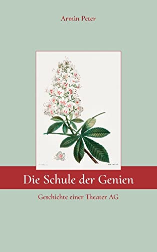 Die Schule der Genien: Geschichte einer Theater AG