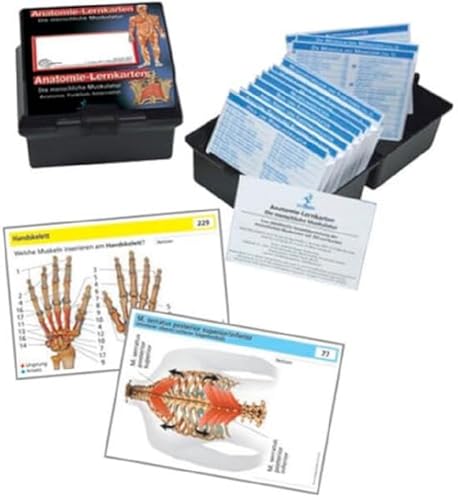 Die menschliche Muskulatur: Anatomie-Lernkarten Anatomie, Funktion und Innervation
