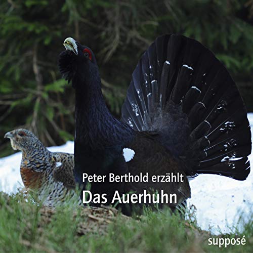 Das Auerhuhn: Peter Berthold erzählt von Suppose Verlag