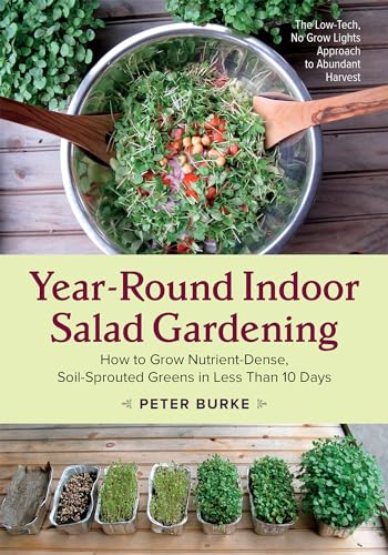 Year-Round Indoor Salad Gardening: How to Grow Nutrient-Dense, Soil-Sprouted Greens in Less Than 10 Days