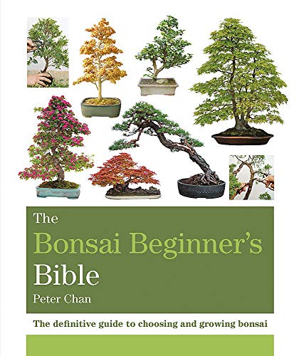 The Bonsai Beginner's Bible: The definitive guide to choosing and growing bonsai (Octopus Bible Series) von Mitchell Beazley