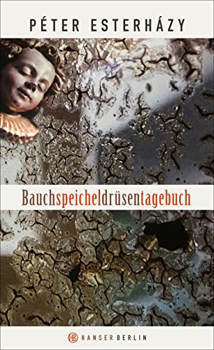 Bauchspeicheldrüsentagebuch von Hanser Berlin