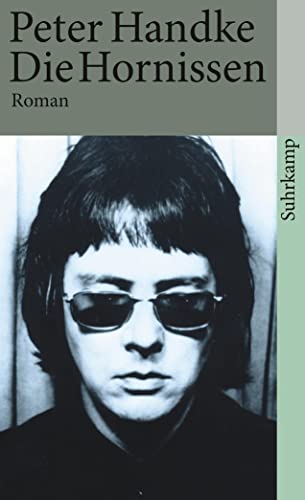 Die Hornissen: Roman (suhrkamp taschenbuch)