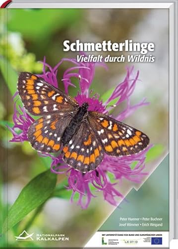 Schmetterlinge, Vielfalt durch Wildnis