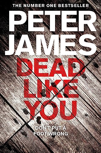 Dead Like You (Roy Grace, 6, Band 6) von Pan